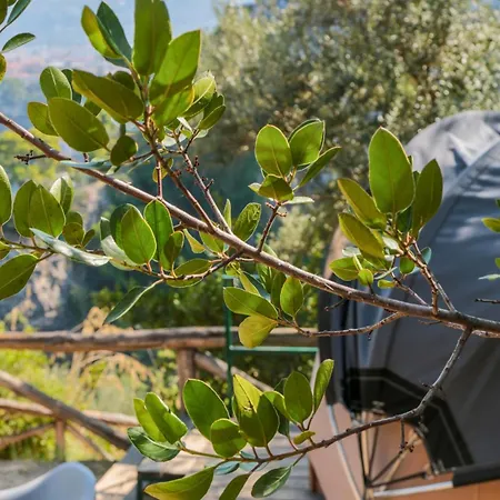 & Glamping Santa Fortunata Kamp alanı *